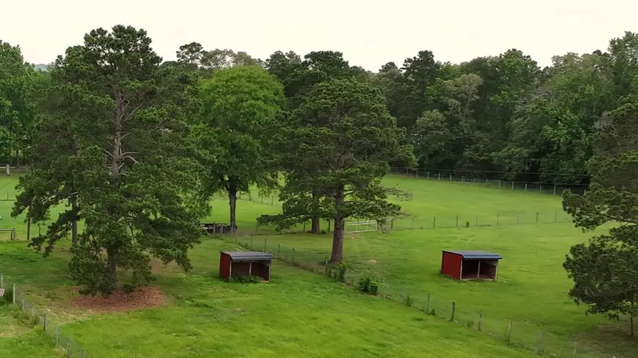 162 Lloyd James Rd, Groveton, TX 75845 - #2