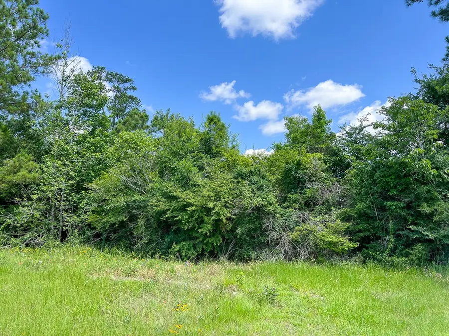 12 Rec Road 255, Colmesneil, TX 75938 - #2