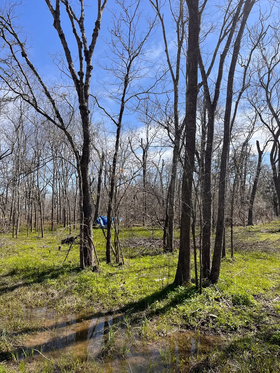 N/A Penguin Ln Lane, Holiday Lakes, TX 77515 - #3