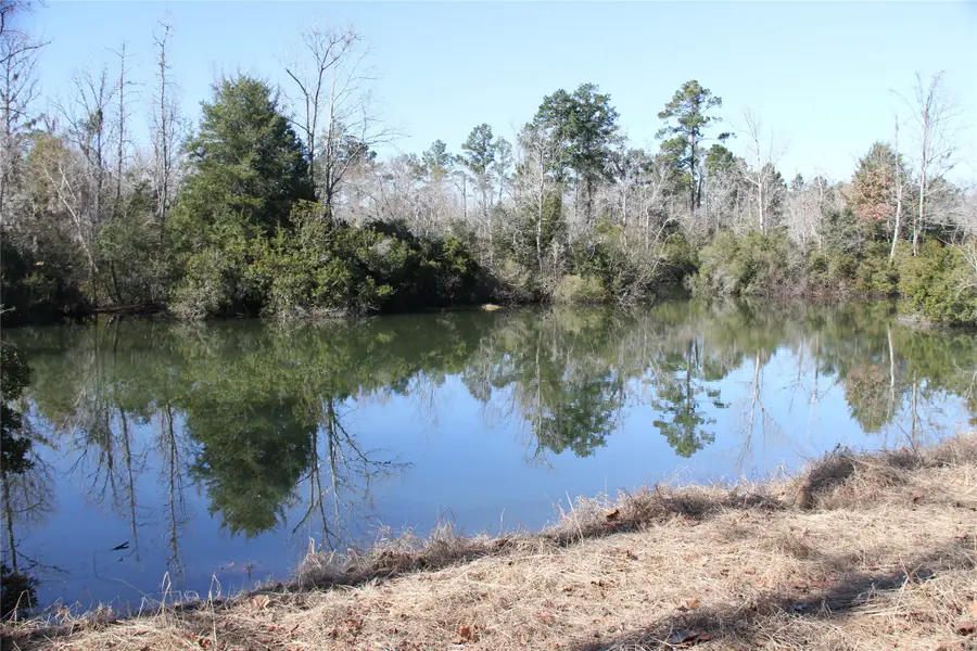 63 N Smith Loop Loop, Cleveland, TX 77327 - Image #2