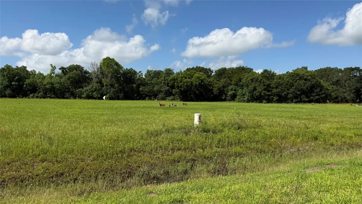 1008 Chuckwagon Trail, Angleton, TX 77515 - #1