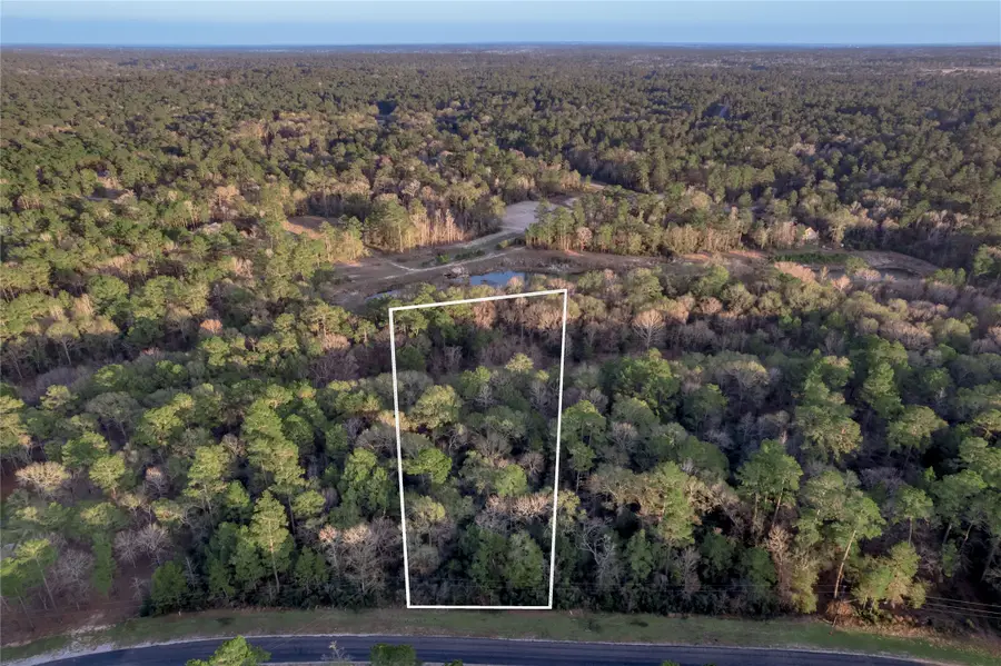 306 Sundog Road, Huntsville, TX 77340 - Image #3