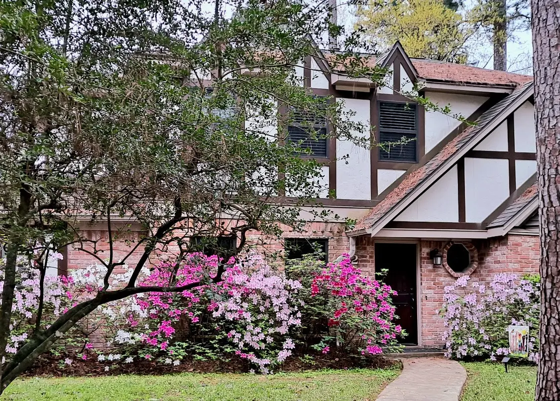 2 Chatterbird Lane, The Woodlands, TX 77380 - #1