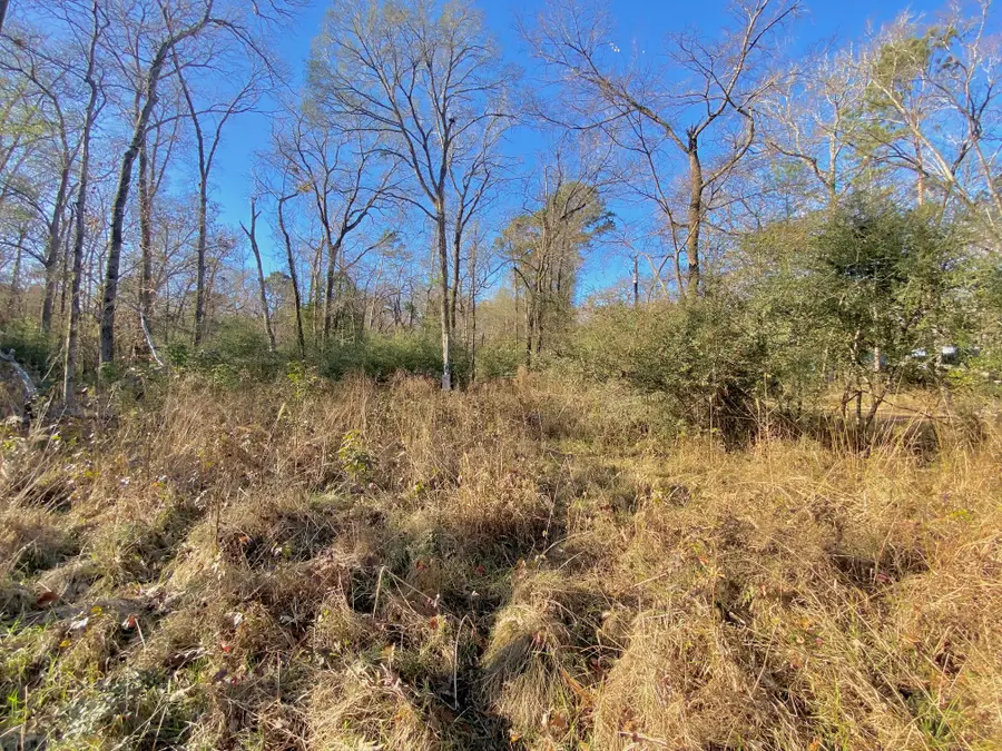 Lot #10 Tall Timber Road, Crockett, TX 75835 - Image #2