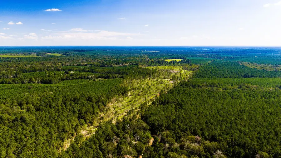 001 Buddy Lloyd Rd, Livingston, TX 77351 - #3