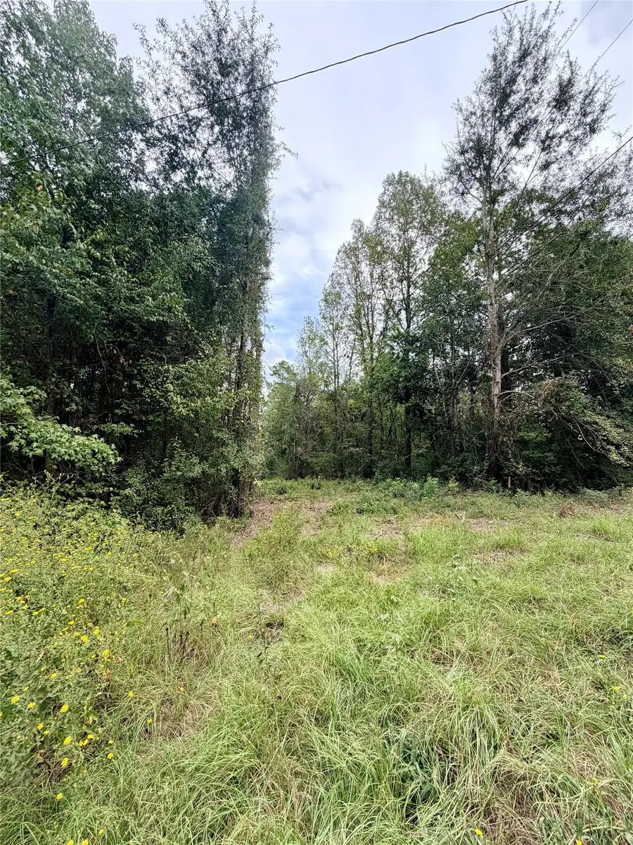 00 Broadway, Kennard, TX 75847 - #2