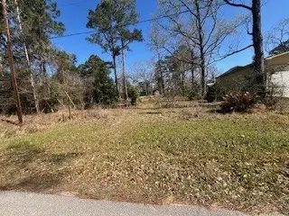 TBD Apple Tree, Livingston, TX 77351