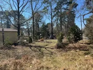 TBD Apple Tree, Livingston, TX 77351 - #3