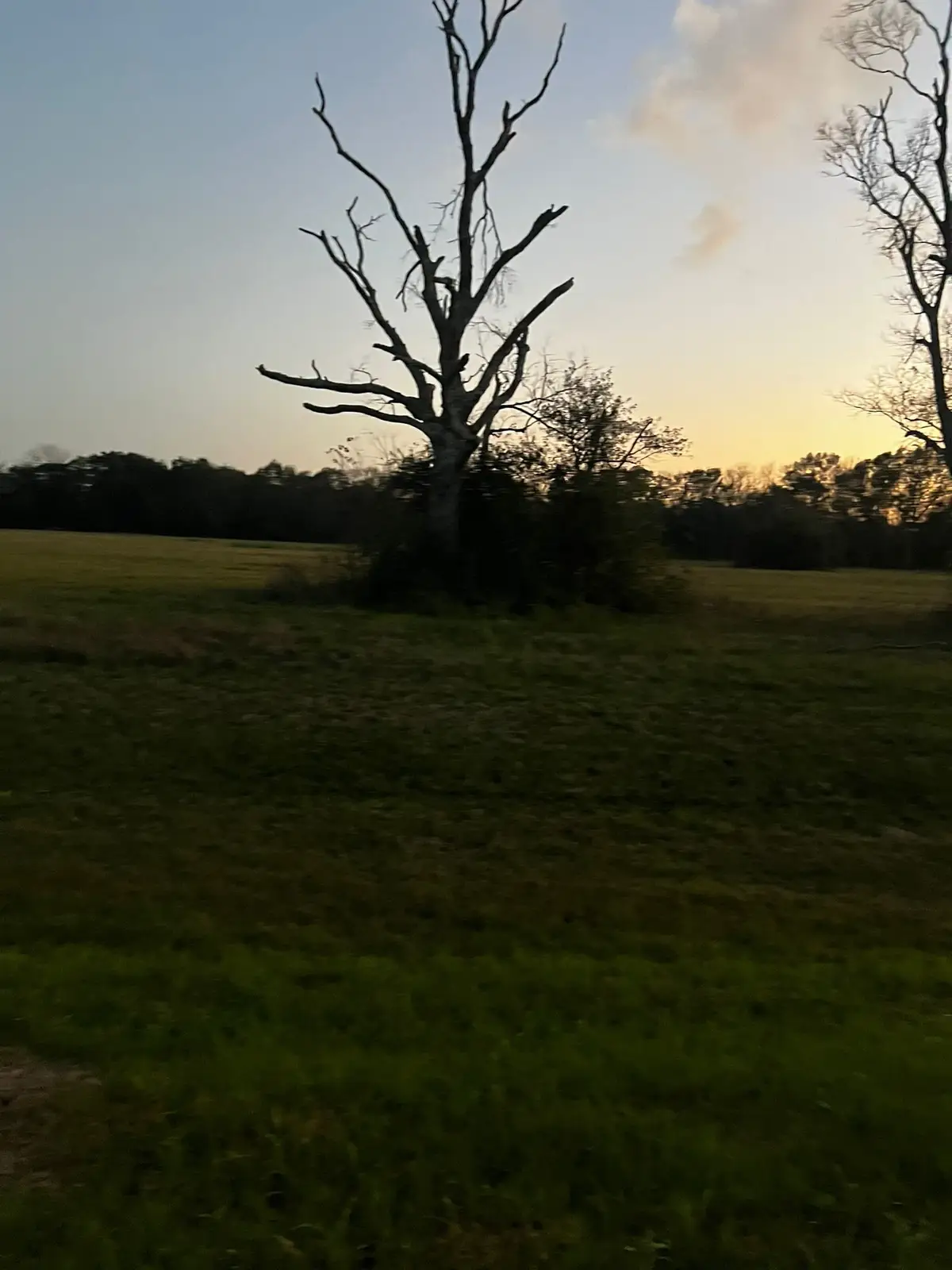 1007 Chuckwagon Trail, Angleton, TX 77515 - #1