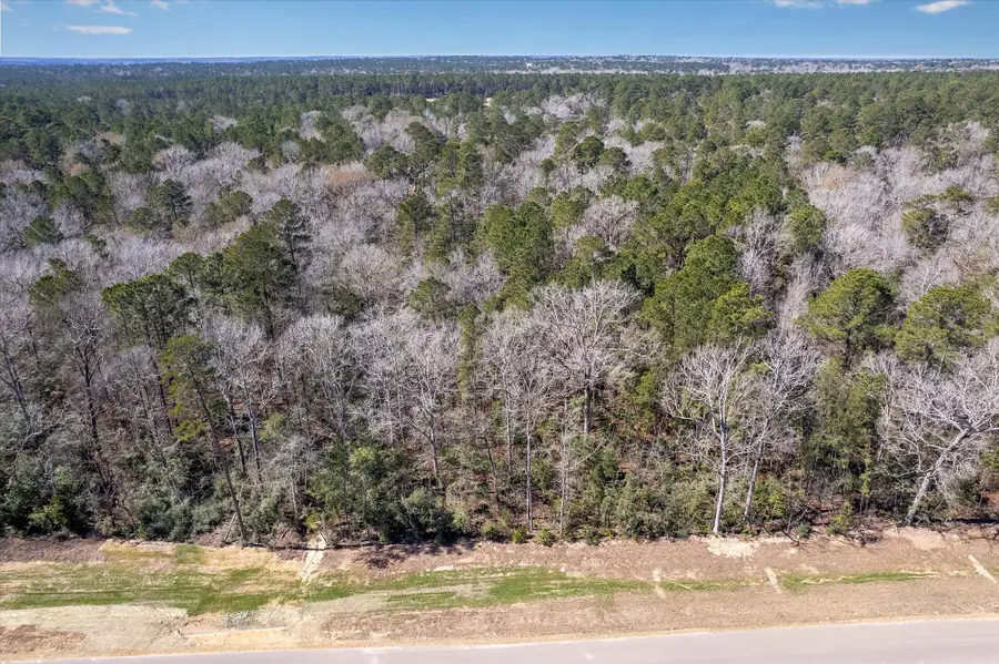 16169 Ridge Oak Dr, Willis, TX 77378 - #2