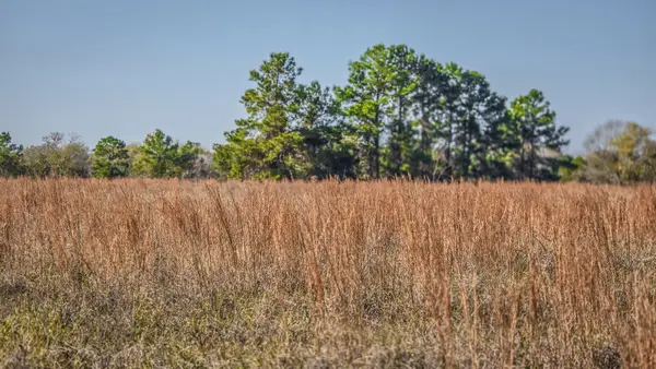 TBD (LOT 1) Podraza Road, New Waverly, TX 77358