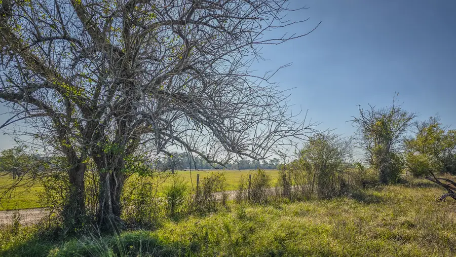 TBD (LOT 1) Podraza Road, New Waverly, TX 77358 - Image #2