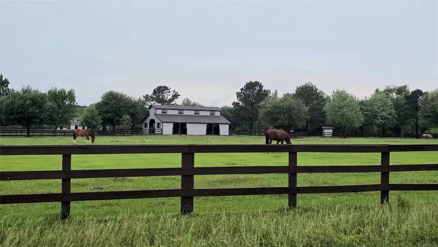 41015 Kimber Lane, Magnolia, TX 77354 - #2