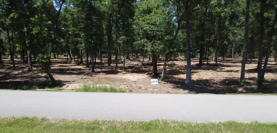 Lot 4 Crowley Road, Conroe, TX 77301 - #2