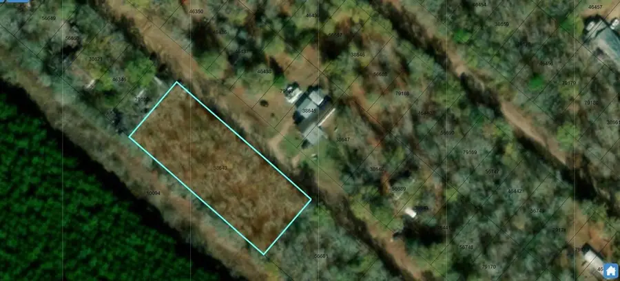 302 Terrell Road, Livingston, TX 77351 - #2