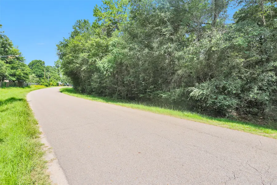 TBD Highland Boulevard, Magnolia, TX 77354 - Image #3