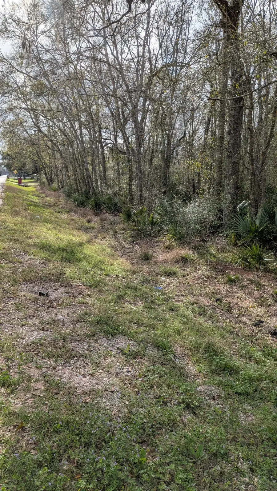 19910 County Road 684a, Sweeny, TX 77480 - #2