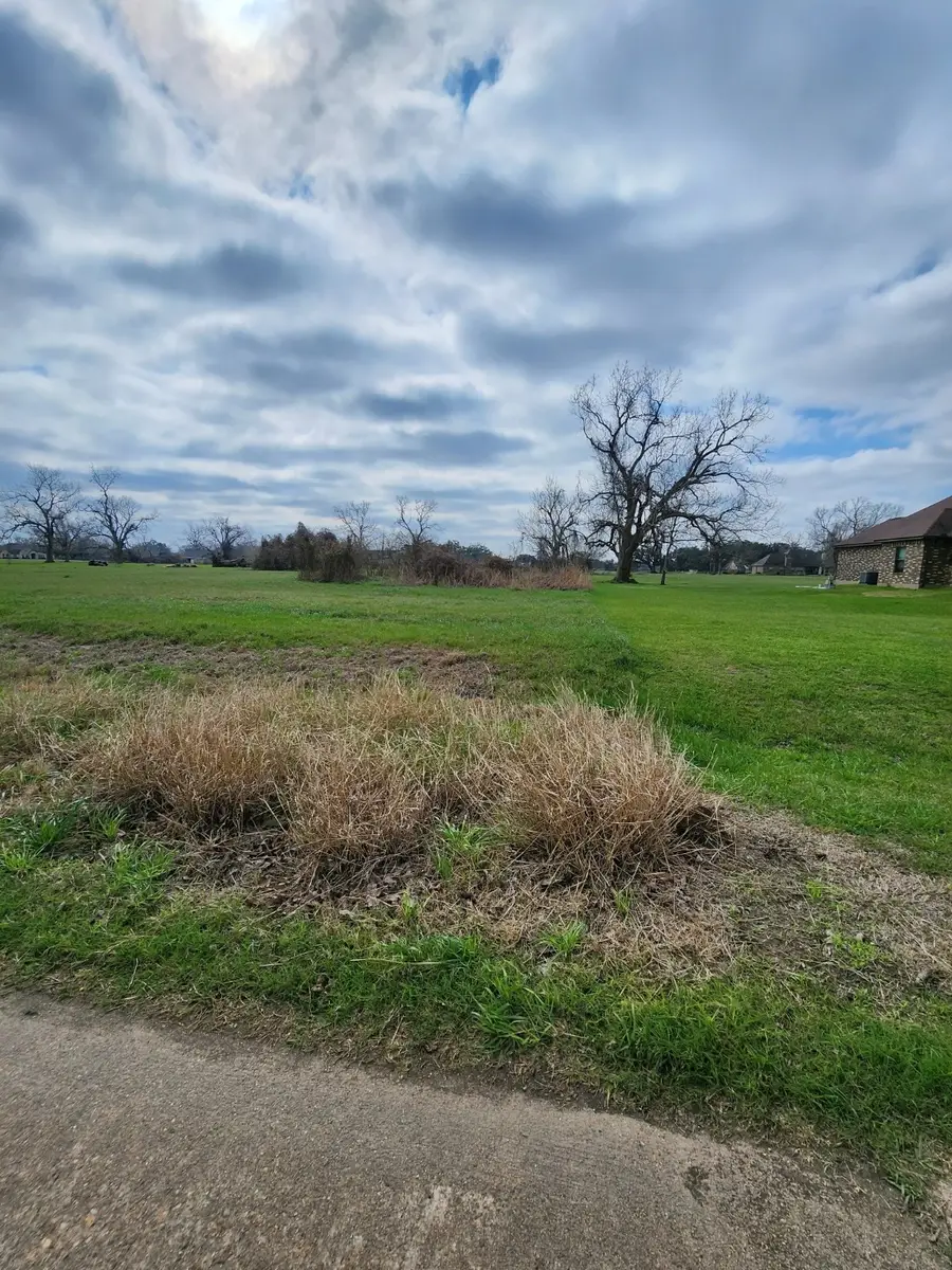 1549 Quarter Horse Trail, Angleton, TX 77515 - #3