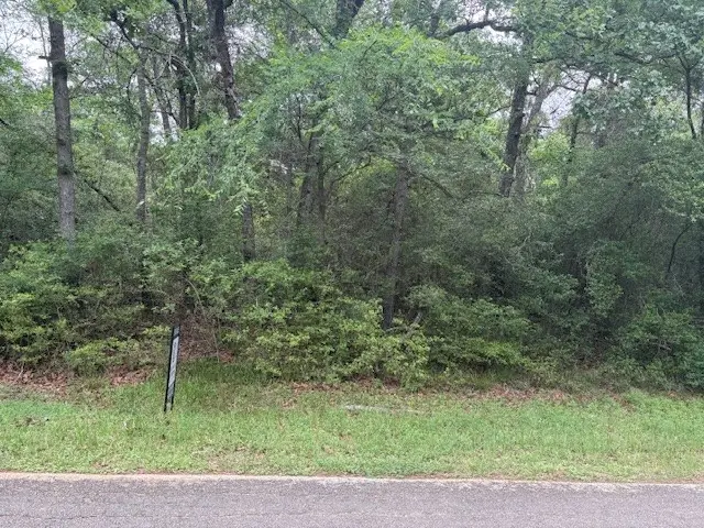 TBD Post Oak Drive, Normangee, TX 77871 - #1