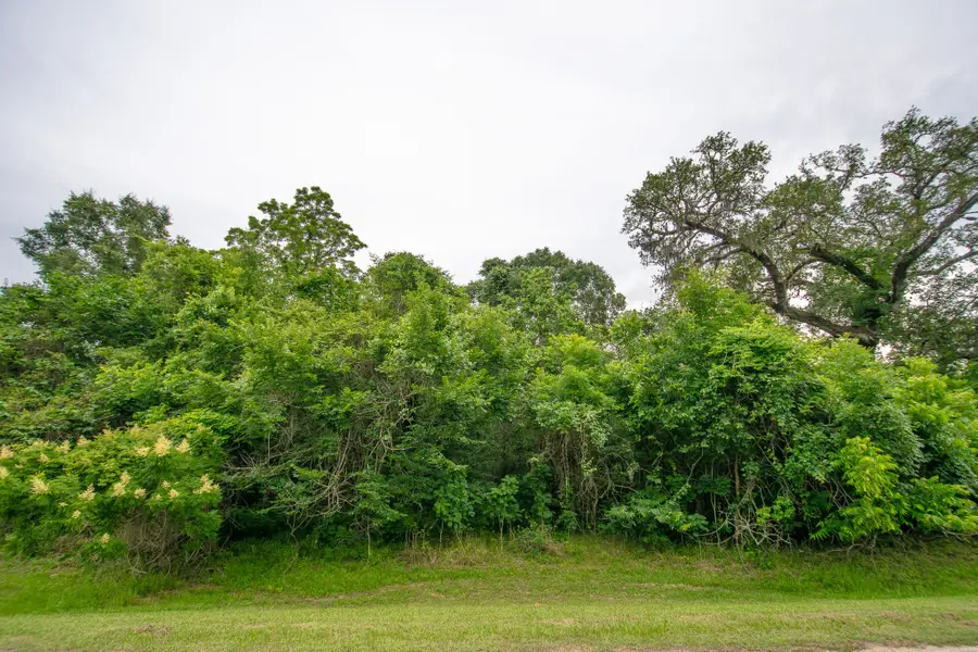 1015 W Point Drive, Rosharon, TX 77583 - #2