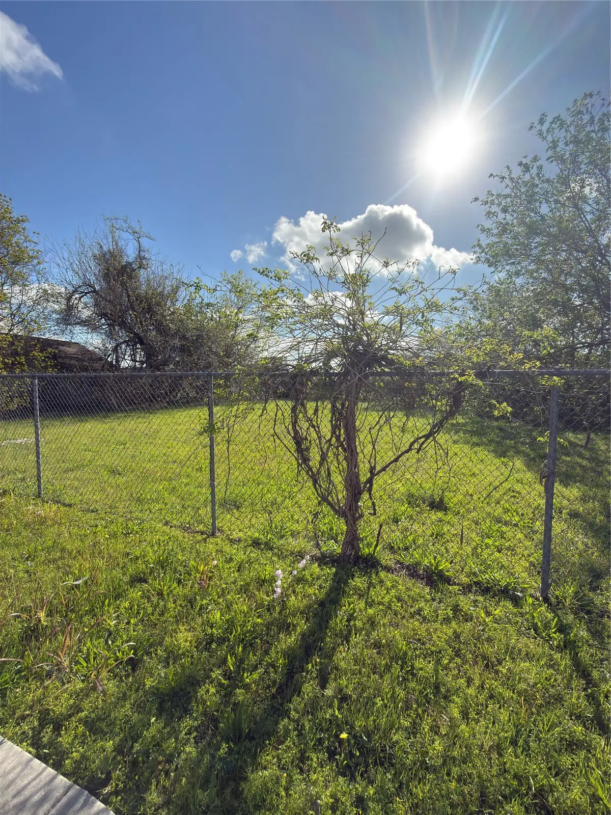 0 Cullen, Houston, TX 77021 - #1