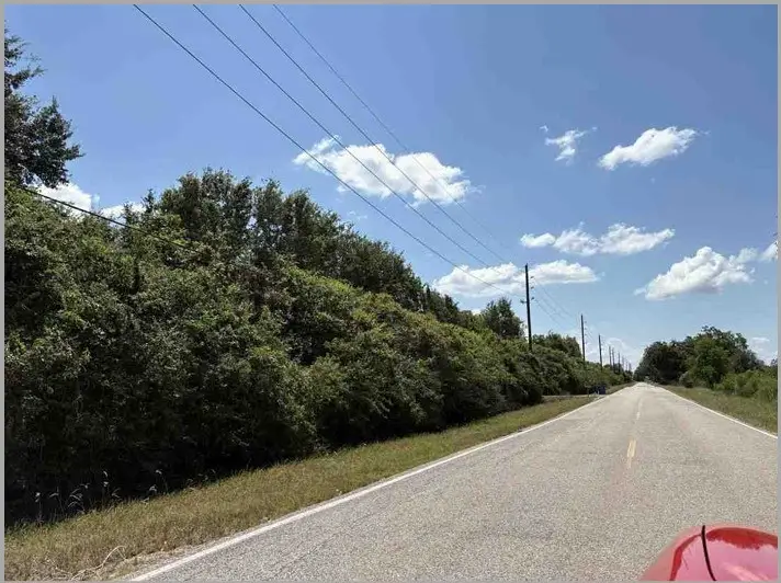 9935 County Road 67, Manvel, TX 77578 - #3