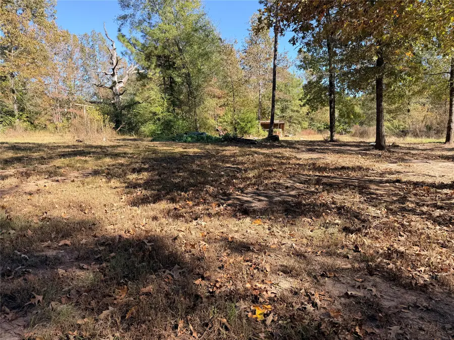 150 County Road 421, Bronson, TX 75930 - Image #3