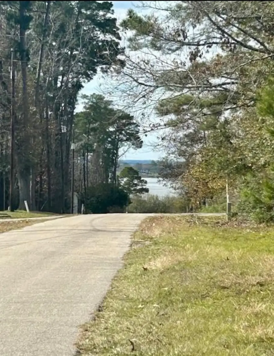 0 Honeysuckle, Livingston, TX 77351 - Image #3