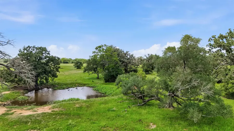 Tract 6 Holly Cemetery Road, Franklin, TX 77856 - #2