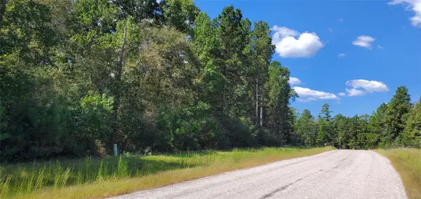 TBD Cougar Court, Huntsville, TX 77340