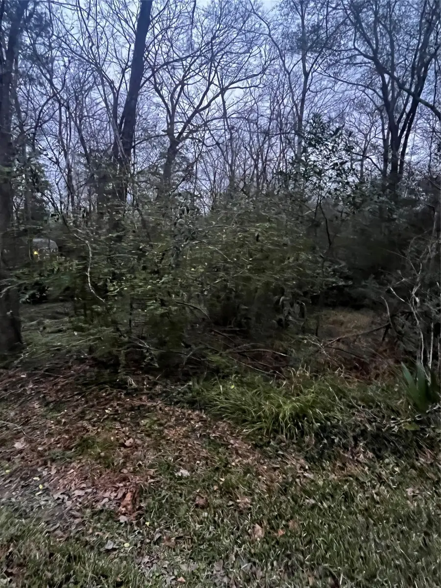 0 Elm Street, Huffman, TX 77336 - #2