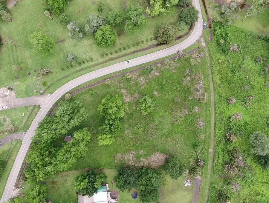Lot 220 County Road 461 A, Brazoria, TX 77422 - #2