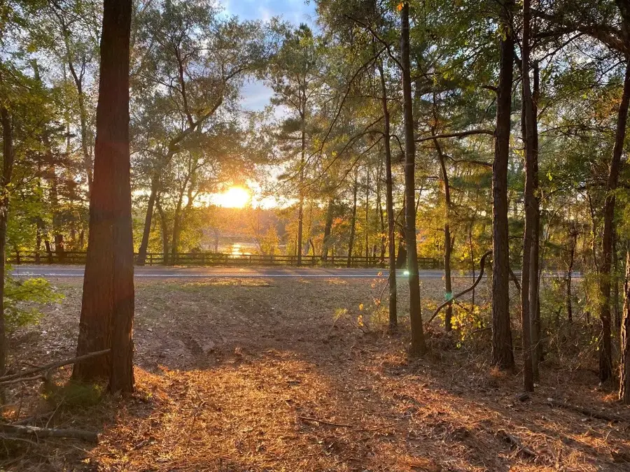 TRACT 5-C Fm 161 N, Hughes Springs, TX 75656 - #2