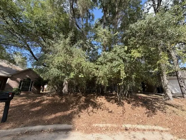 3110 Hunters Glen Way, Montgomery, TX 77356 - #2