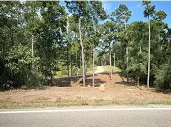 TBD Valleyview Drive, Onalaska, TX 77360 - #1