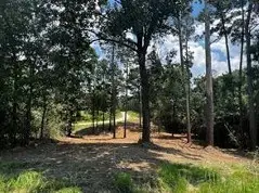 TBD Valleyview Drive, Onalaska, TX 77360 - #2