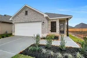 21130 Autumn Heights, Rosharon, TX 77583 - #2