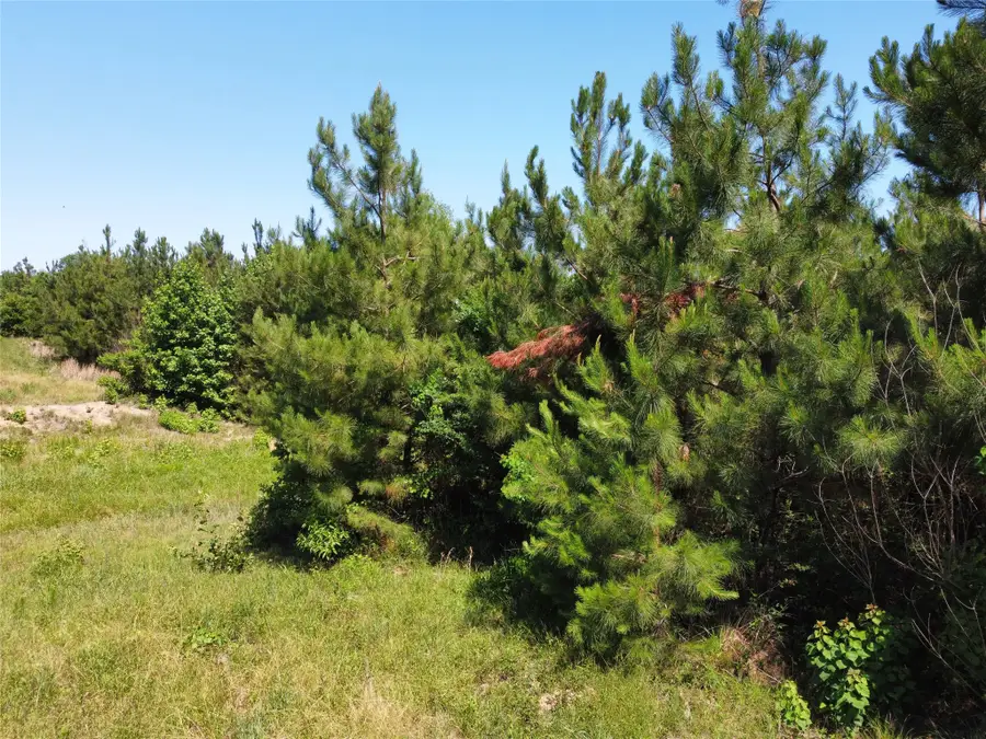 2 TBD County Road 295, Garrison, TX 75946 - #2