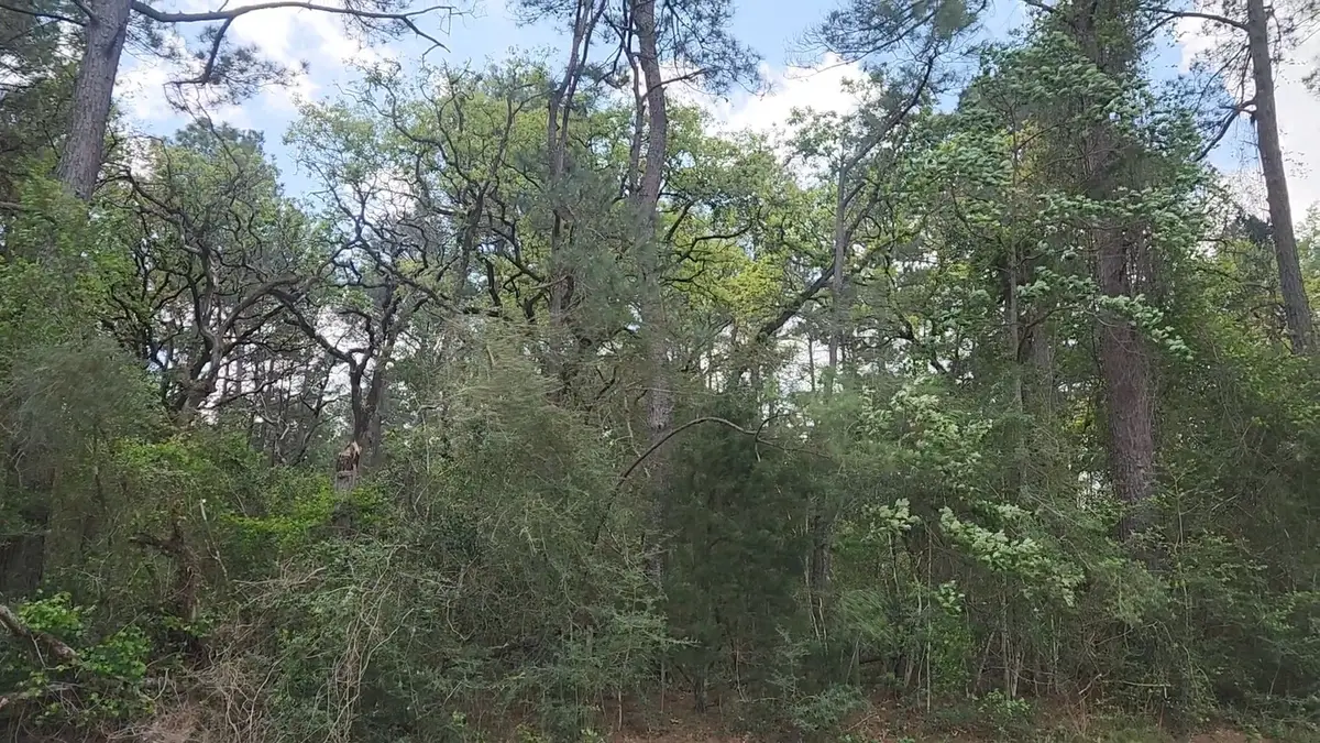Lot 1 N Council Drive, Hempstead, TX 77445 - #1
