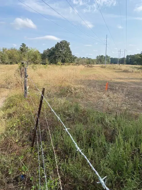 00 Archie Road, Huntsville, TX 77320 - Image #3