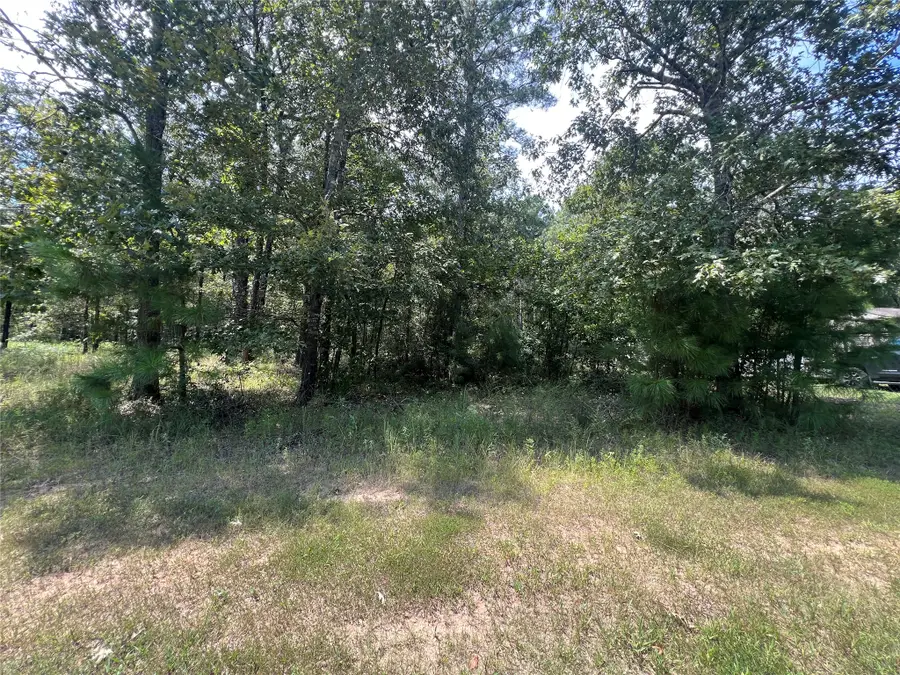 TBD Hidden Oaks Drive, Point Blank, TX 77364 - #2