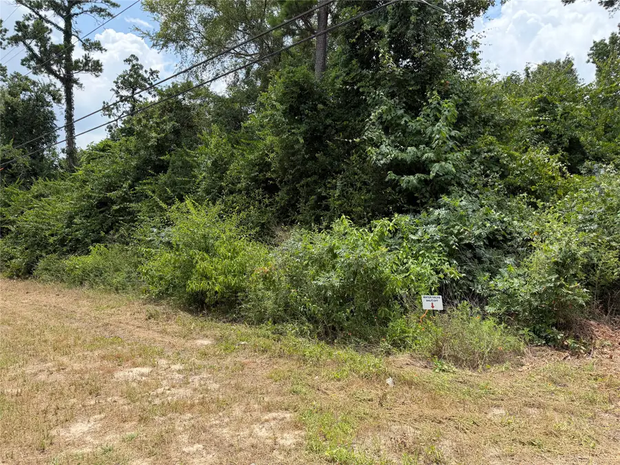 19895 Martha Road, Montgomery, TX 77316 - #3