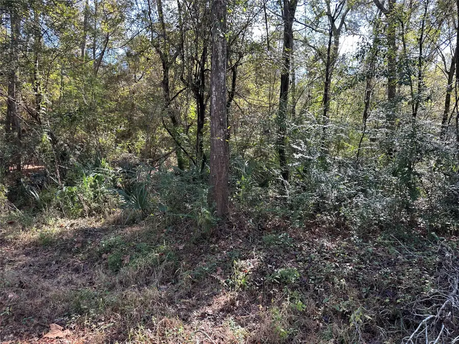 0 County Road 3612, Cleveland, TX 77372 - #3