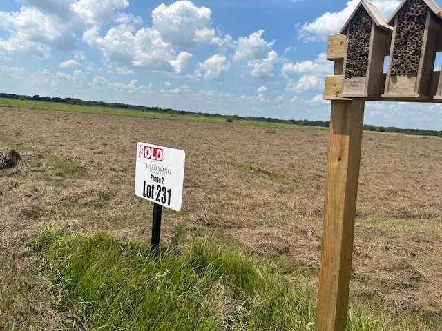 Block 02,Lot 231 Teal Lane, Columbus, TX 77470 - #1