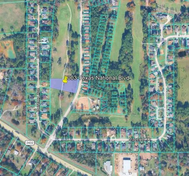 003 Texas National, Willis, TX 77303 - #2