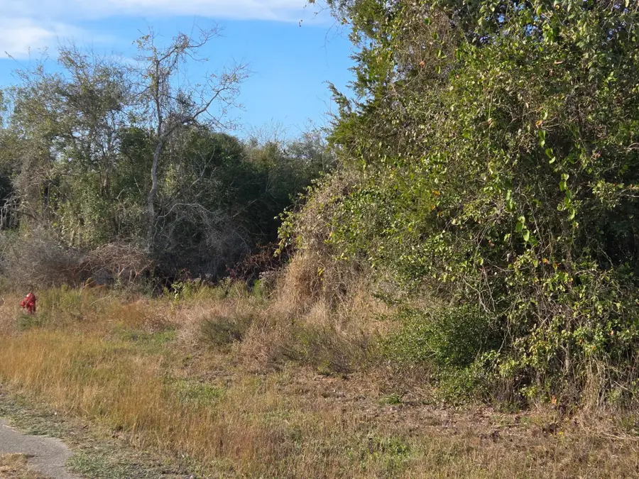 0 Bremond, Hempstead, TX 77445 - Image #2