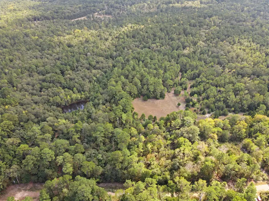 TBD The Woods Rd Lot 47 Road, Coldspring, TX 77331 - #3