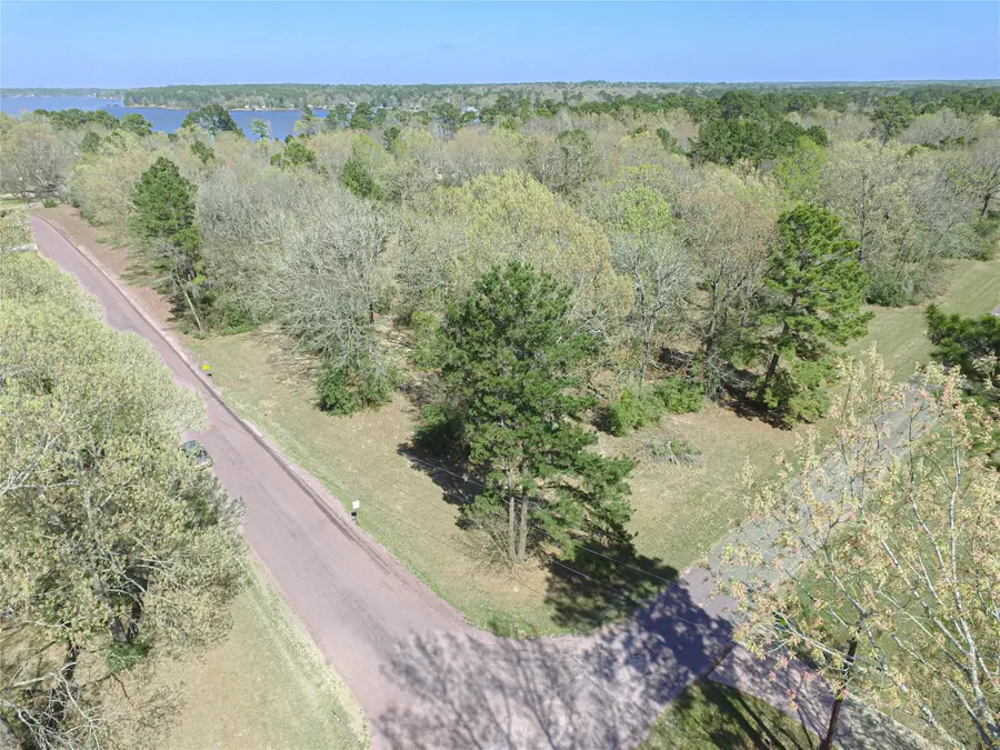 120 Island Drive, Livingston, TX 77351 - #3