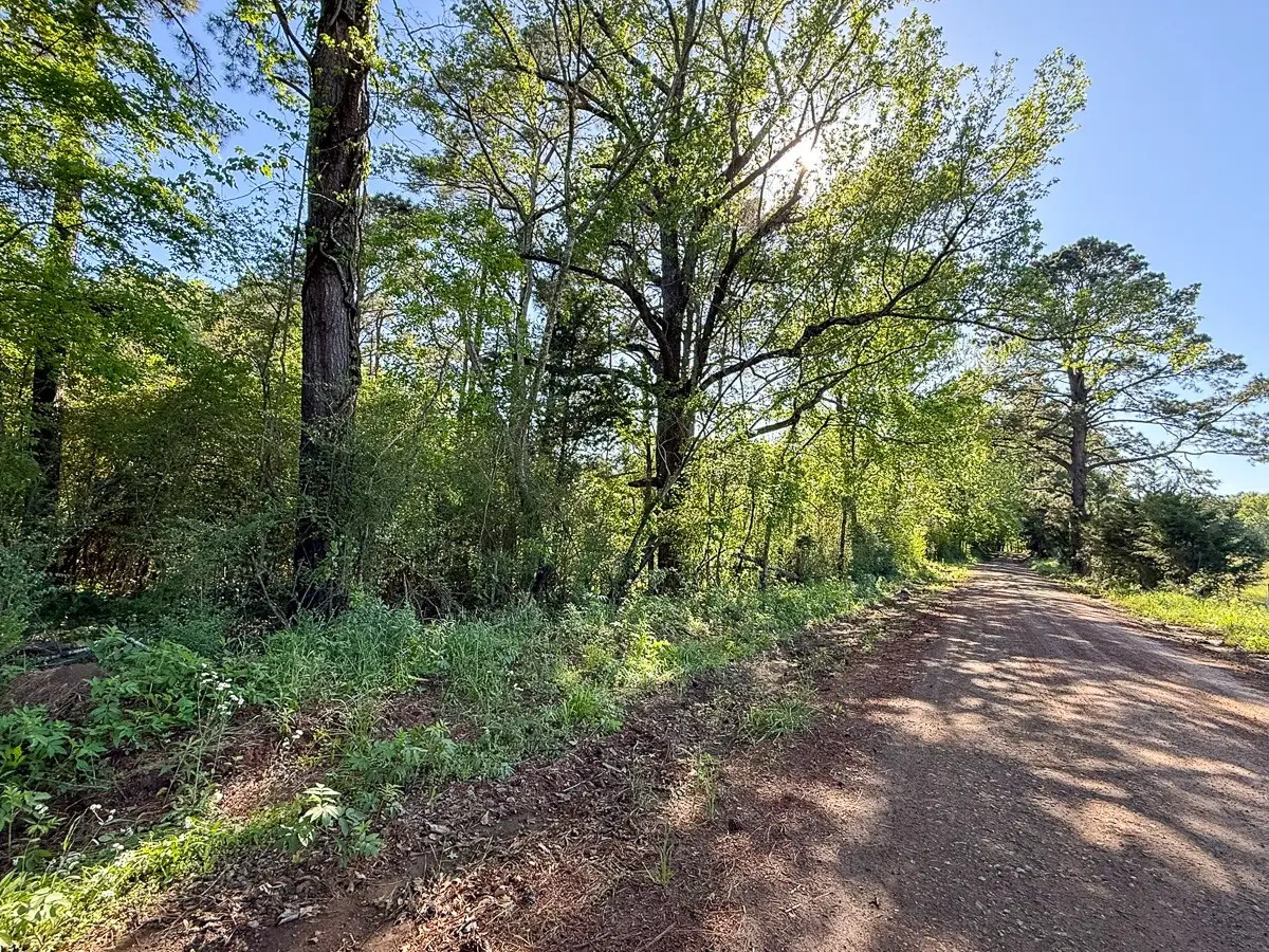 TBD Flat Road, Bronson, TX 75930 - #1