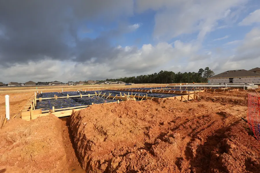 30593 Johnson Alley, Magnolia, TX 77355 - #3